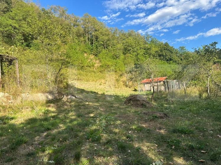 Casă individuală cu 3 camere cu Teren 10900 Mp în Căinelu de Sus