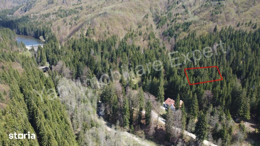 Teren de 983 mp, în Nucșoara