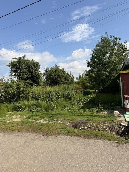 Spațiu comercial, în Gruiu