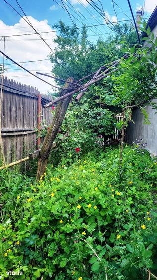 Casă cu 3 camere cu Teren 540 Mp în Central