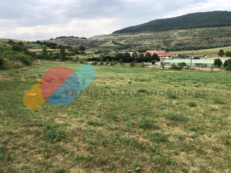 Teren Construcții intravilan de 3000 mp, în Rădaia
