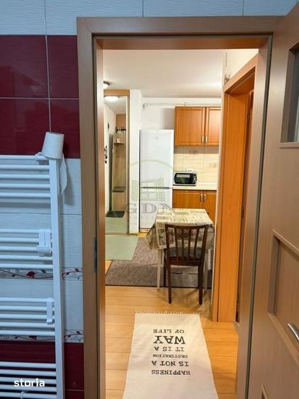 Apartament 2 camere de inchiriat-Zona Doamna Stanca - 2