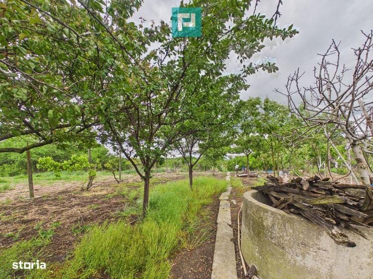 Casă cu 4 camere în Aradul Nou