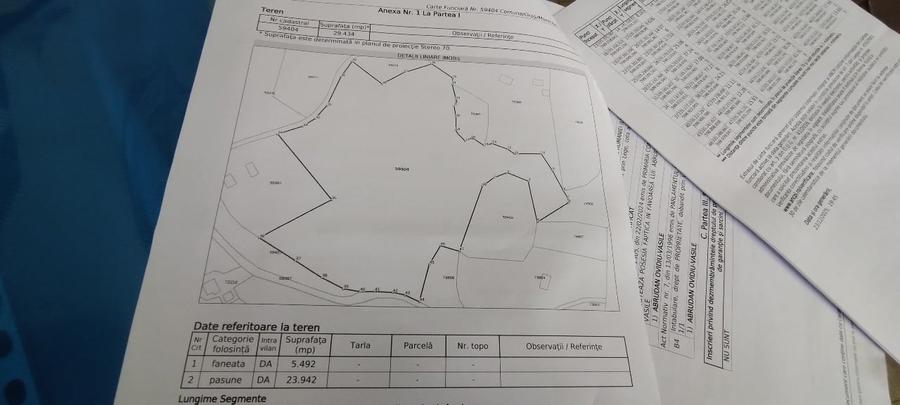 Teren Construcții intravilan de 10000 mp, în Tranișu