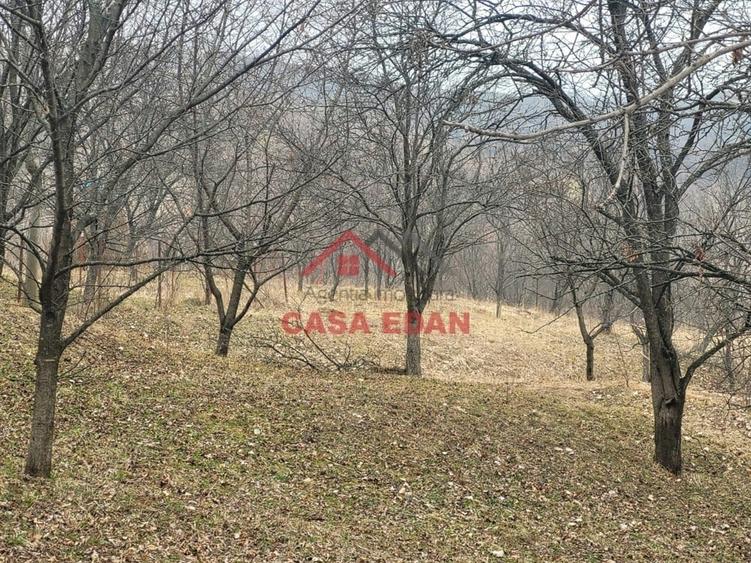 Casă cu Teren 1358 Mp în Gura Beliei