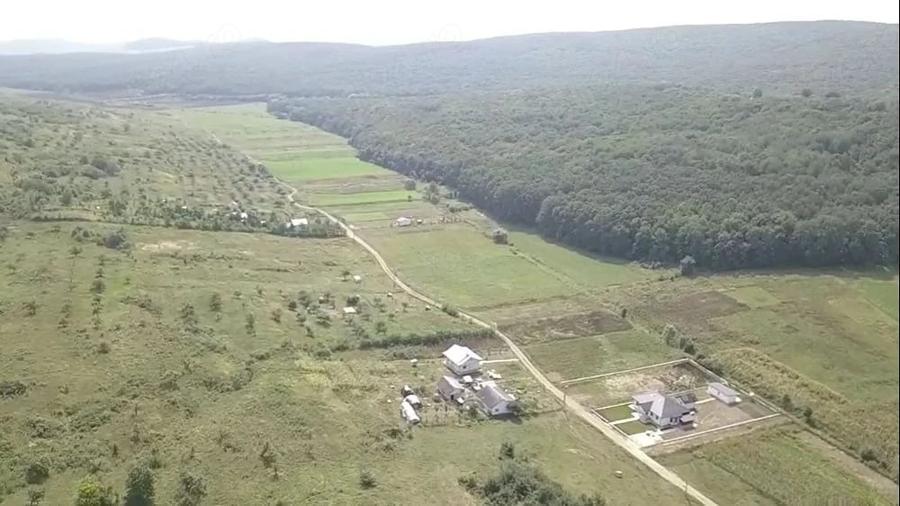 Teren de 2700 mp, în Curtești