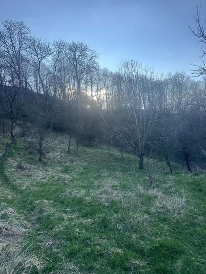 Teren de 2800 mp, în Văleni-Dâmbovița