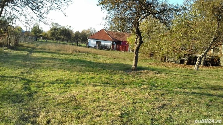 Teren de 2000 mp, în Porumbacu de Sus