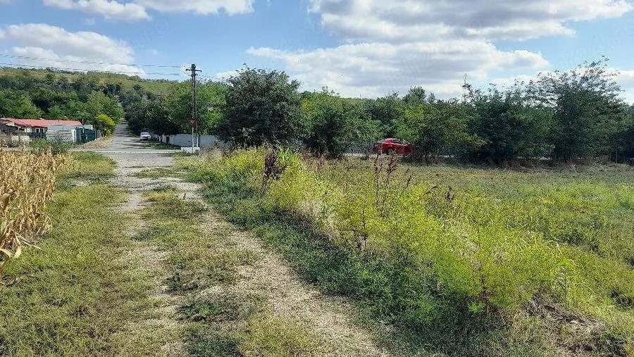 Teren de 2000 mp, în Suhurlui