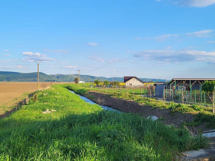 Teren de 5760 mp, în Letea Veche