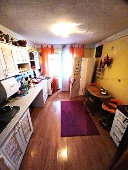 Apartament cu 2 camere semidecomandat în Viziru 1