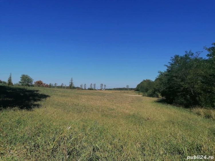 Teren de 4350 mp, în Bălteni