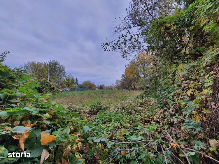 Teren de vanzare Dumbrava Minunata in Domnesti, Ilfov - 1