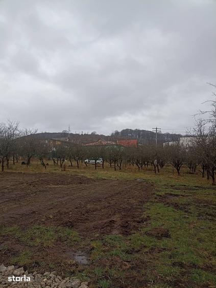 Teren de 455 mp, în Central