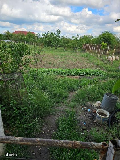 Casa cu 1566 mp teren in sat Mandruloc, com. Vladimirescu, jud. Arad - 7