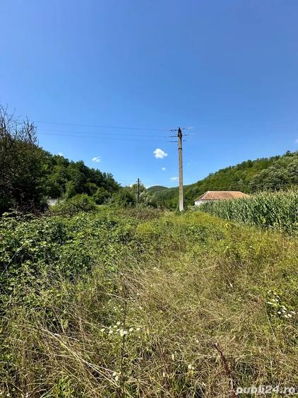 Teren de 2900 mp, în Zam