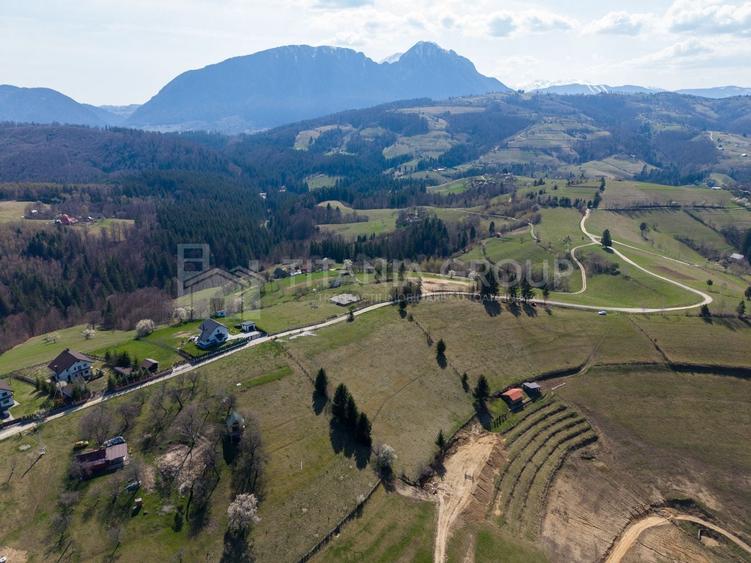 Teren Construcții intravilan de 3791 mp, în Poiana Mărului
