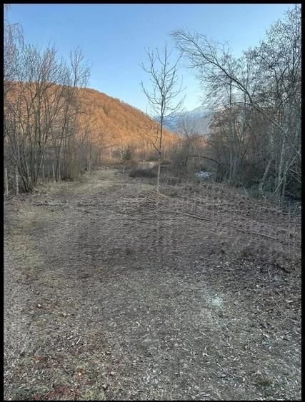 Teren de 2500 mp, în Dejani