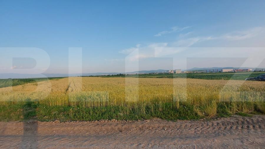 Teren agricol extravilan de 9900 mp, în Moacșa