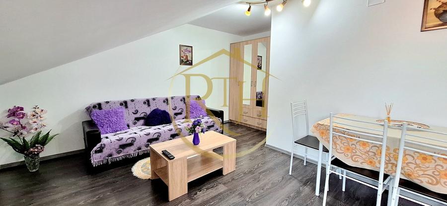 Apartament cu 2 camere semidecomandat, mobilat în Iosefin