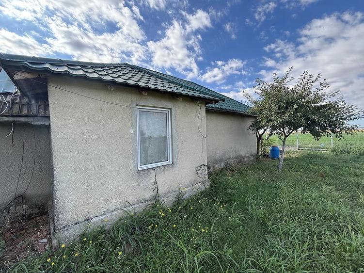 Casă cu Teren 1700 Mp în Padina