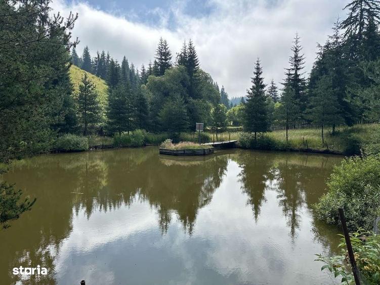 Casă cu 4 camere în Dorna-Arini