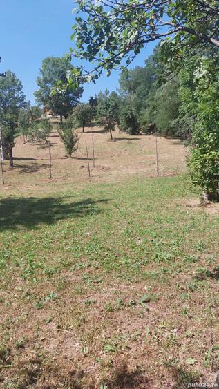 Teren de 2000 mp, în Pietriceaua