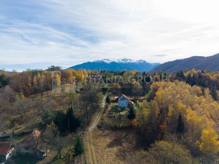 Teren Construcții intravilan de 19495 mp, în Bran