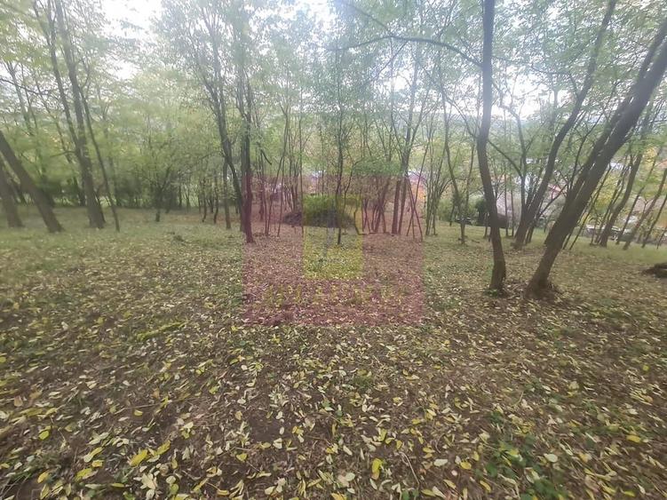 Casă cu 3 camere cu Teren 3410 Mp în Aluniș