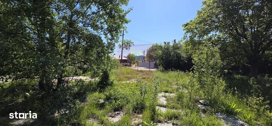 Teren intravila 40.679 mp in Campina, dezvoltare imobiliara - 2