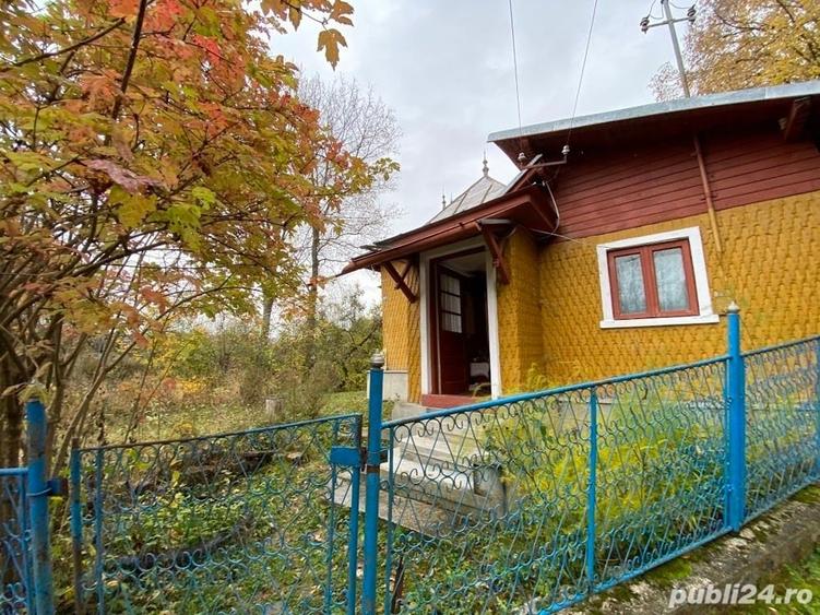 Teren de 6000 mp, în Provița de Sus