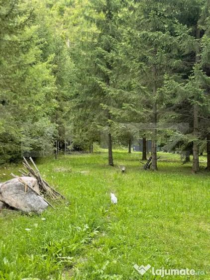 Cabana la munte cu sauna finlandeza ?i teren generos - 10