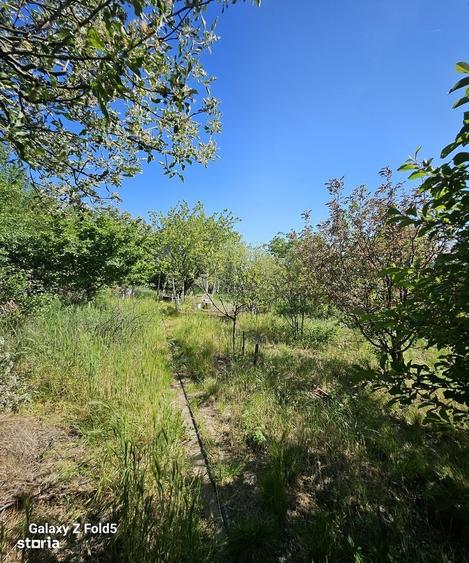 Casă cu 4 camere cu Teren 989 Mp în Central