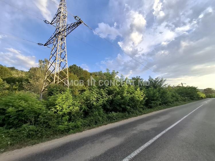 Teren agricol extravilan de 16189 mp, în Șoimari