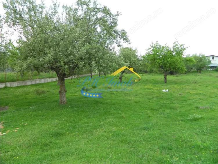 Teren de 4000 mp, în Voila