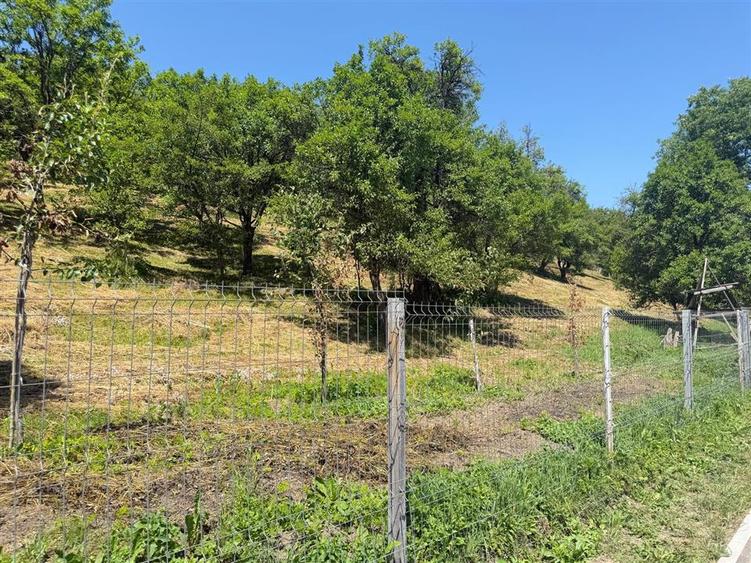 Teren Construcții intravilan de 2316 mp, în Valea Doftanei