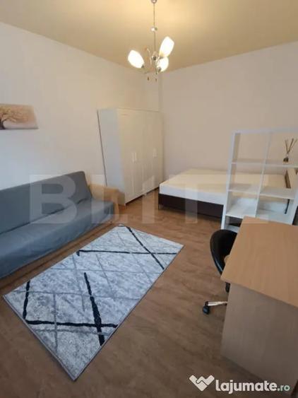 Apartament cu 1 camera, 40 mp, zona Central - Traian - 4