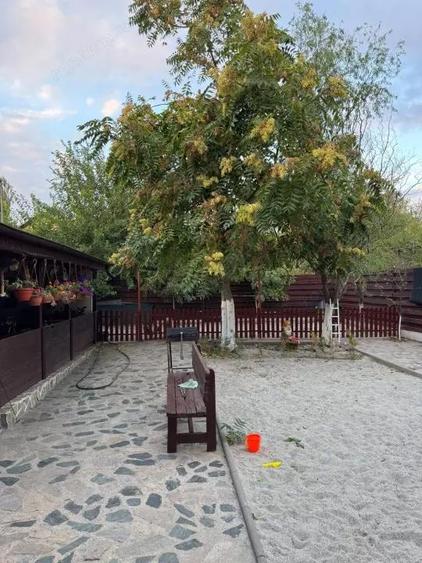 Vila P+1 de 260 mp in Dragane?ti-Olt ideala pentru familie - 5