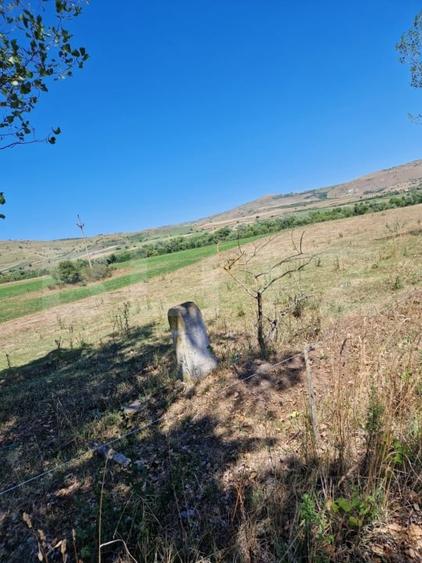 Teren agricol extravilan de 5008 mp, în Iara