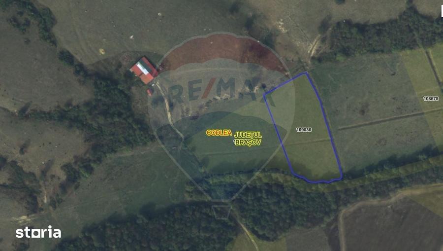 Teren de 10000 mp, în Dumbrăvița