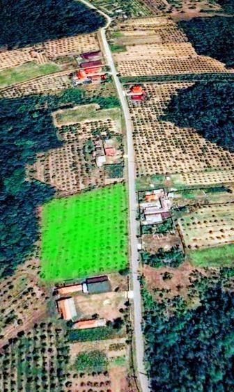 Teren Construcții intravilan de 8200 mp, în Ceretu
