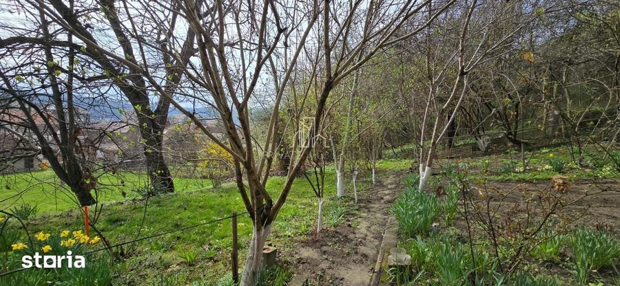 Casă cu 2 camere cu Teren 3080 Mp în Sighișoara