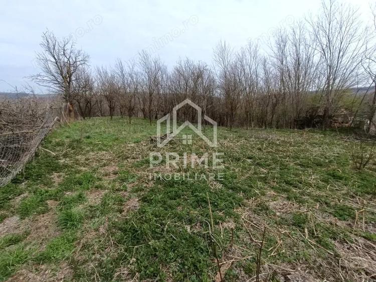 Teren de 1295 mp, în Straja