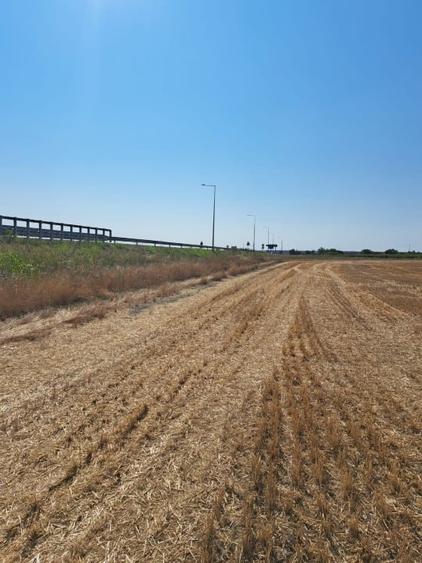 Teren agricol extravilan de 24298 mp, în Șagului