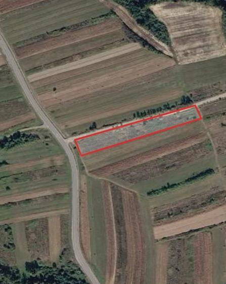 Teren de 2350 mp, în Petrileni