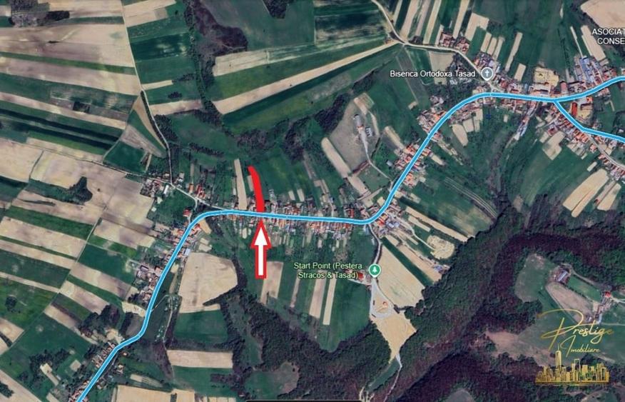 Teren Construcții intravilan de 3255 mp, în Tășad