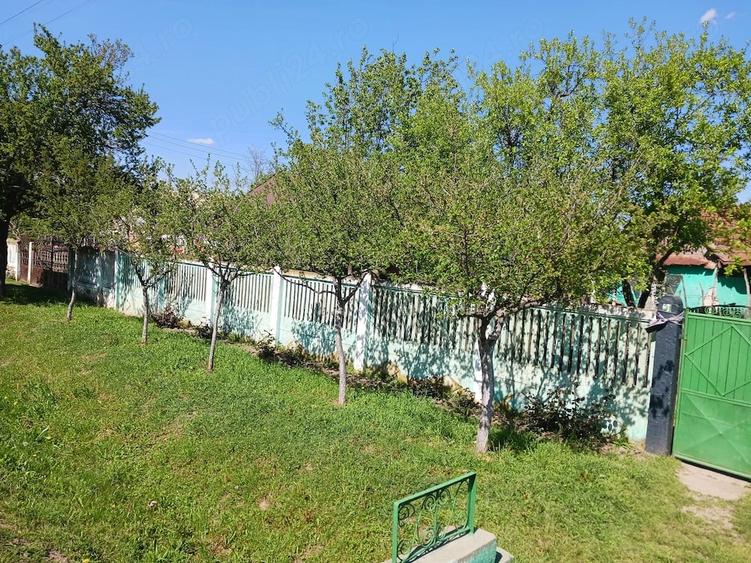 Casă cu Teren 1900 Mp în Central