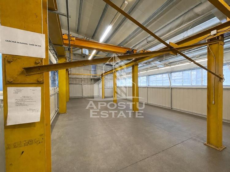 Spațiu industrial, de 1,734 mp, în Buziașului