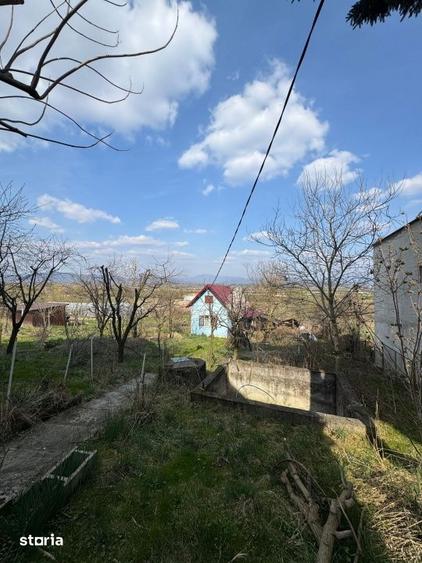 Casă cu 3 camere cu Teren 3300 Mp în Coltău