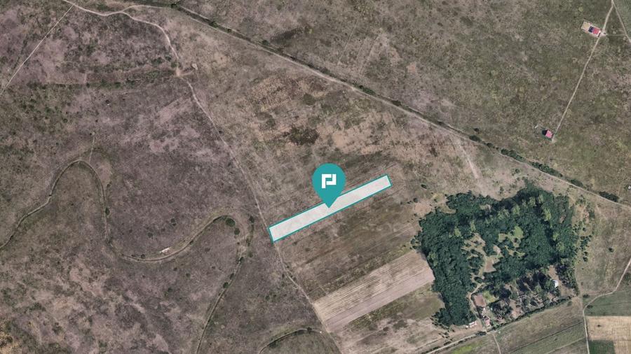 Teren Construcții extravilan de 10000 mp, în Moșnița Nouă